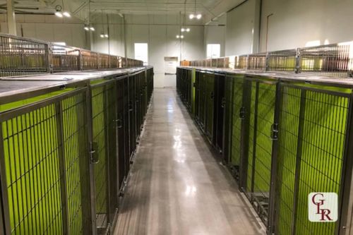 City Bark | GLR Inc.